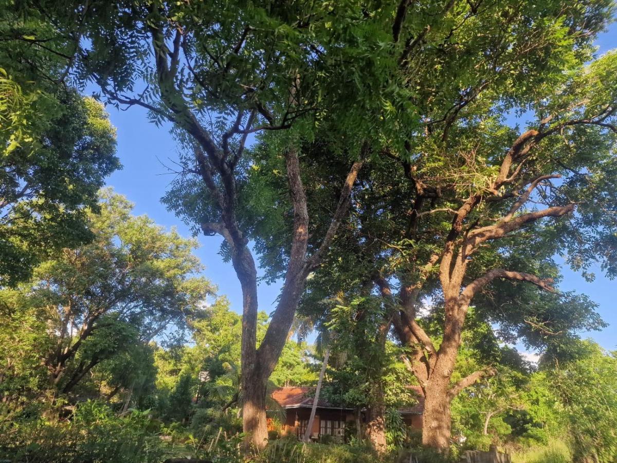 Sigiriya Cottage Exterior foto